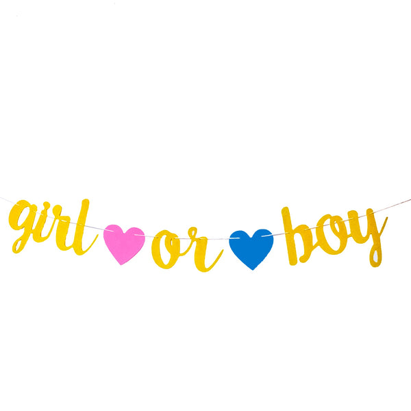 Boy or Girl Paper Banner for Baby First Birthday Party Gender Reveal Party Baby Shower Bunting Decoration